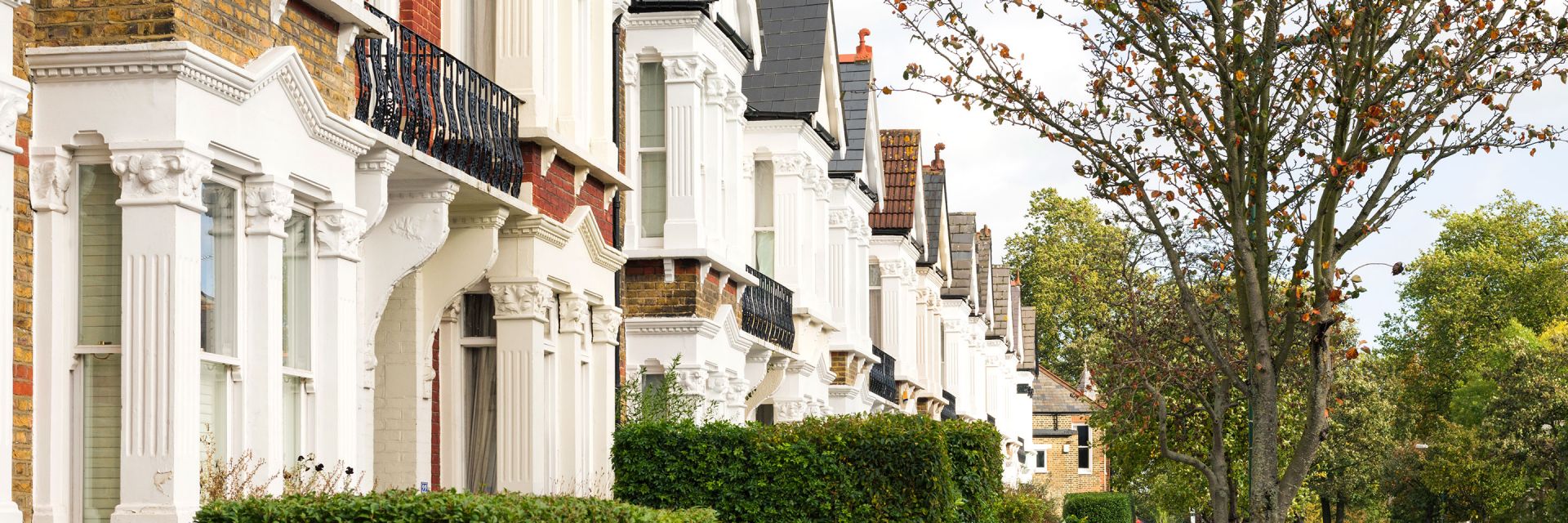  A street with a row of houses.